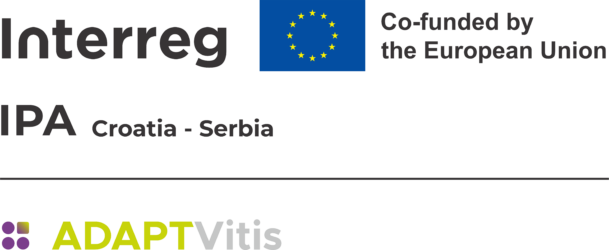 Adaptation of viticulture to climate change through the valorization and implementation of adaptable genotypes of grapevines